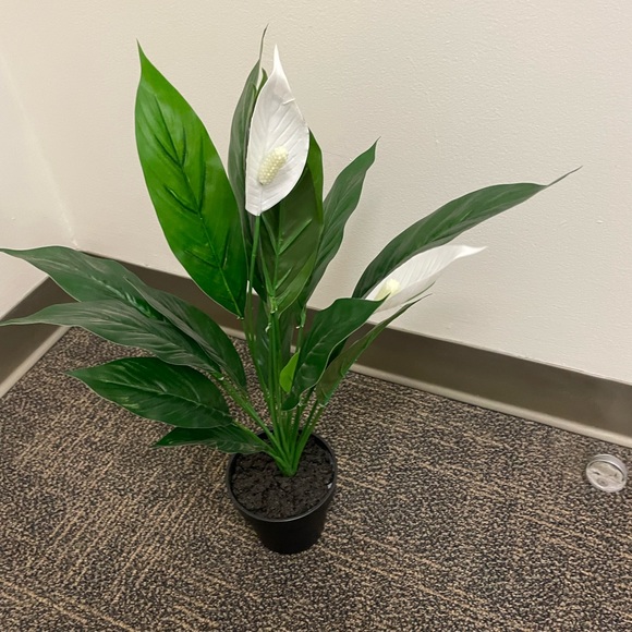 NWOT Faux White and Green Peace Lily Plant with Black Bottom Base Planter - Picture 2 of 5